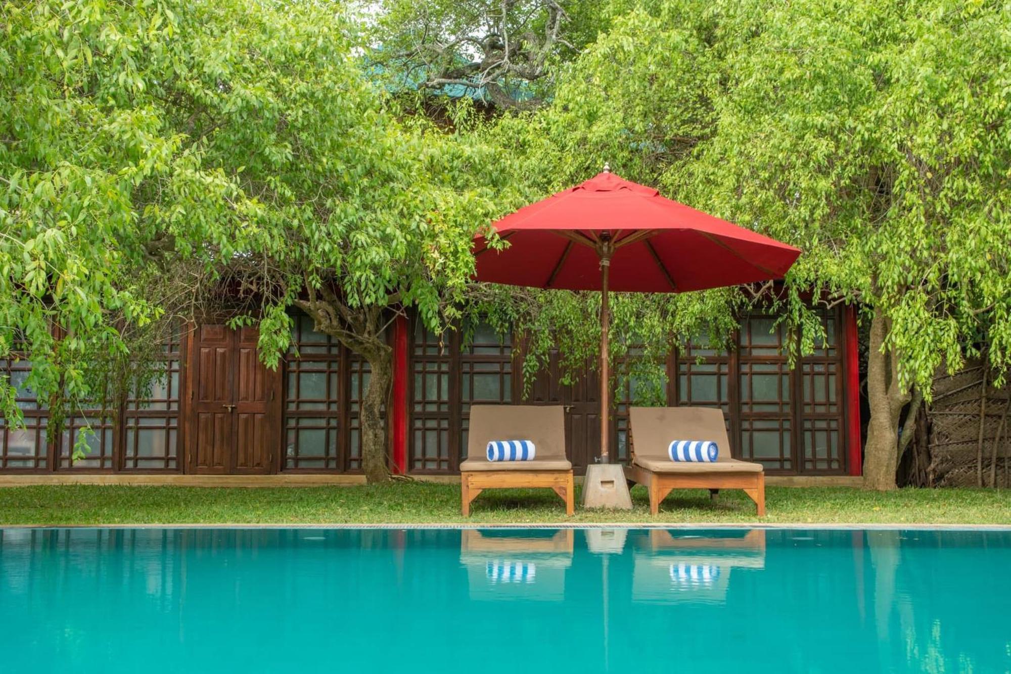 טיסמהרמה Flameback Eco Lodge מראה חיצוני תמונה